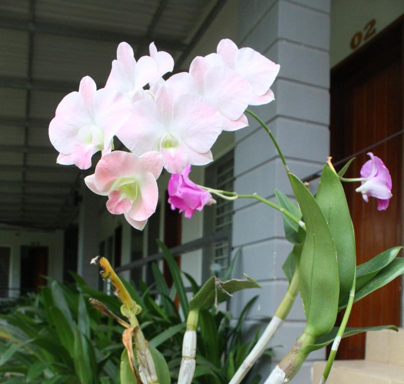 My Parents Guesthouse Kampot Kültér fotó