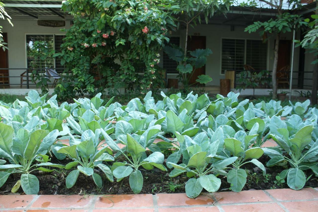 My Parents Guesthouse Kampot Kültér fotó